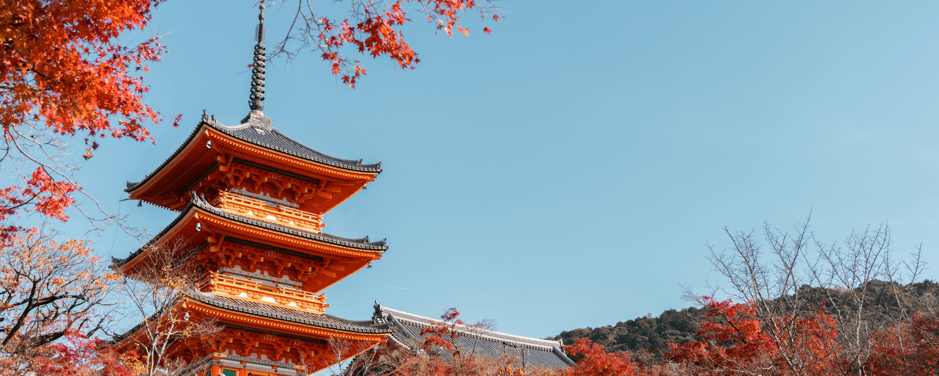 New Japan - AJK