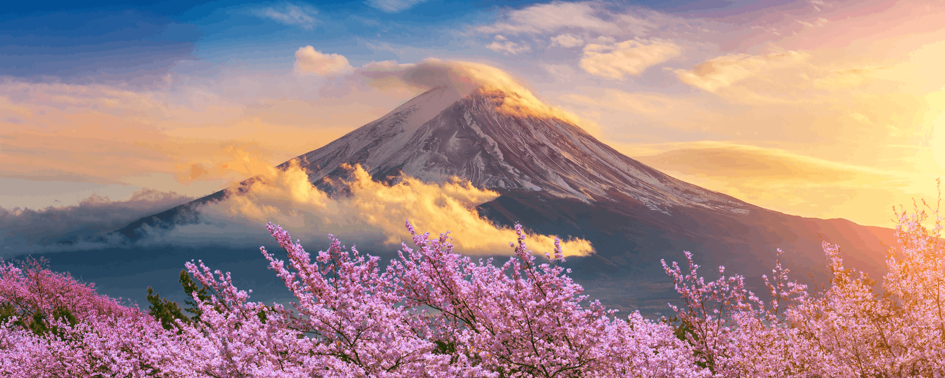 TravelZoo - Japan $300 pp off