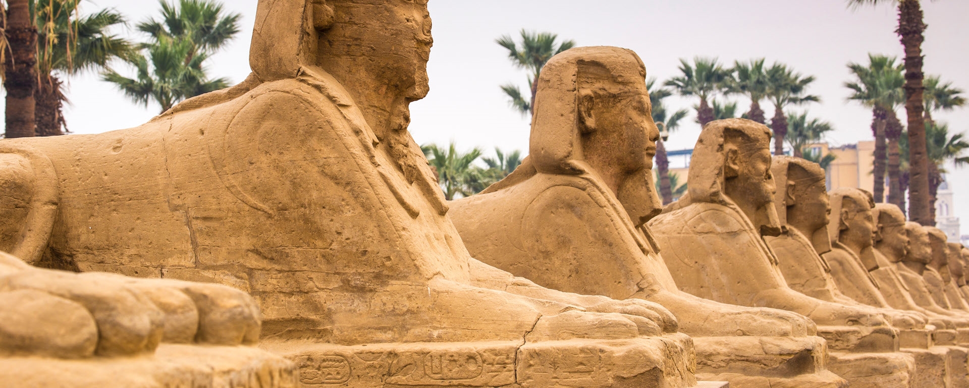 $250 off Egypt