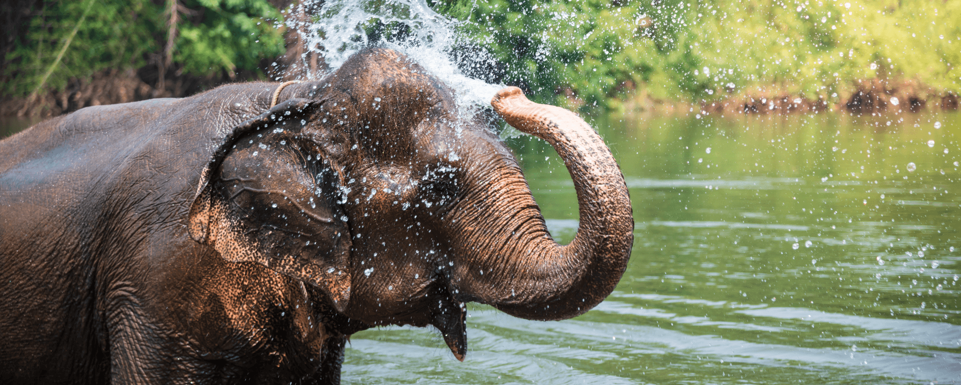 Thailand Banner 1028