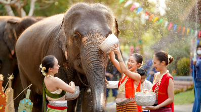 Thailand Grand Discovery Best Seller Value Pack