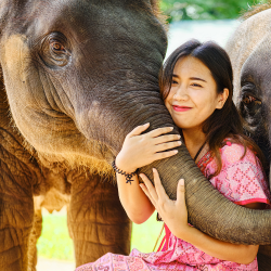 Elephant World Sanctuary w/ Lunch