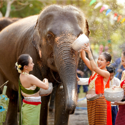 Thailand Grand Discovery Best Seller Value Pack