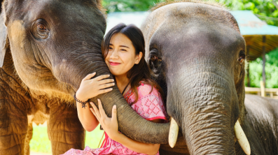 Elephant World Sanctuary w/ Lunch