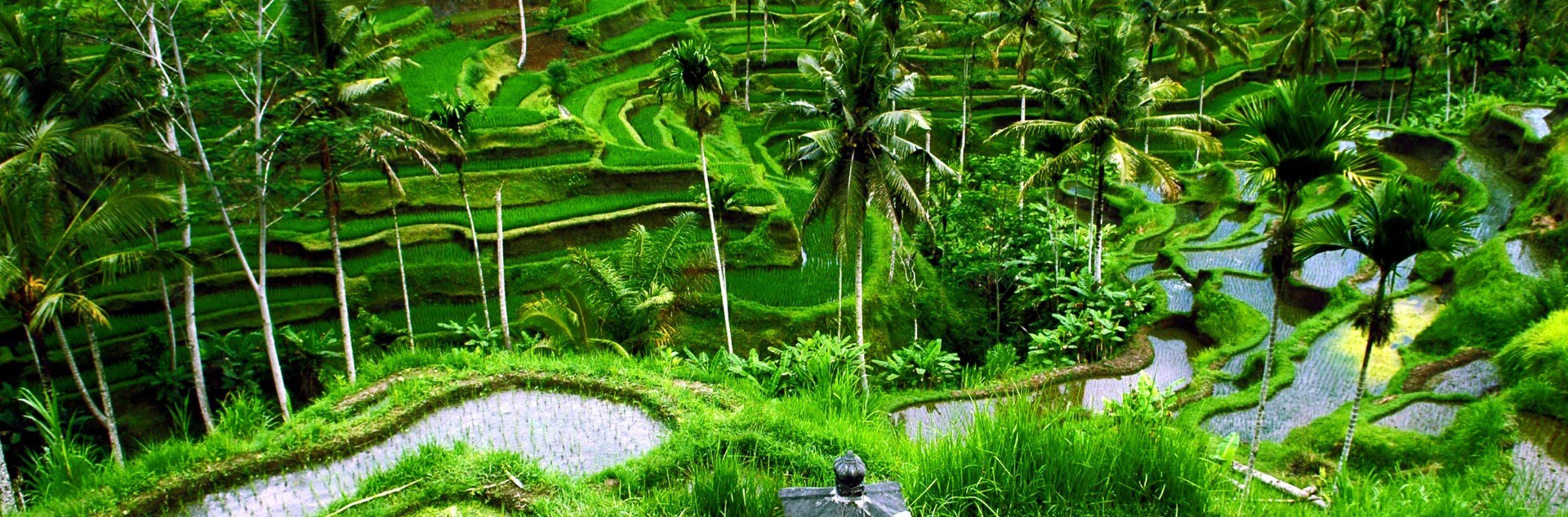 destinationbanner