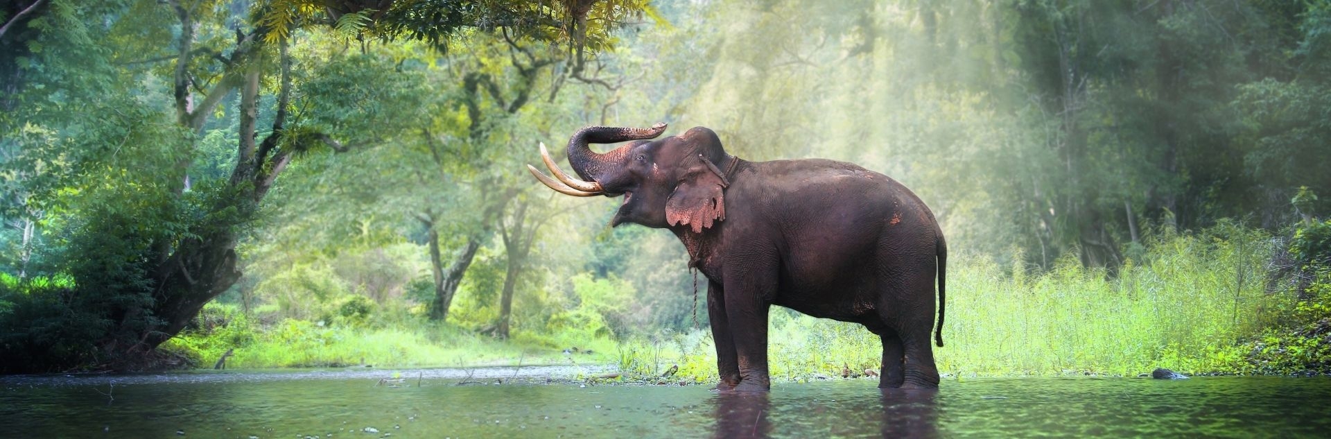 destinationbanner