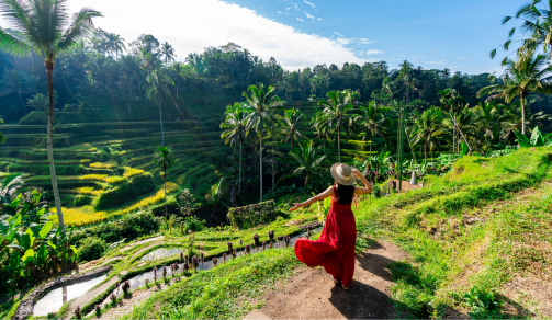 itemimgbox_bottomimg